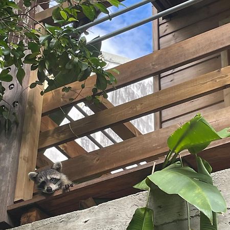 Bungalow Nature Gosier Centre Ле Госие Екстериор снимка