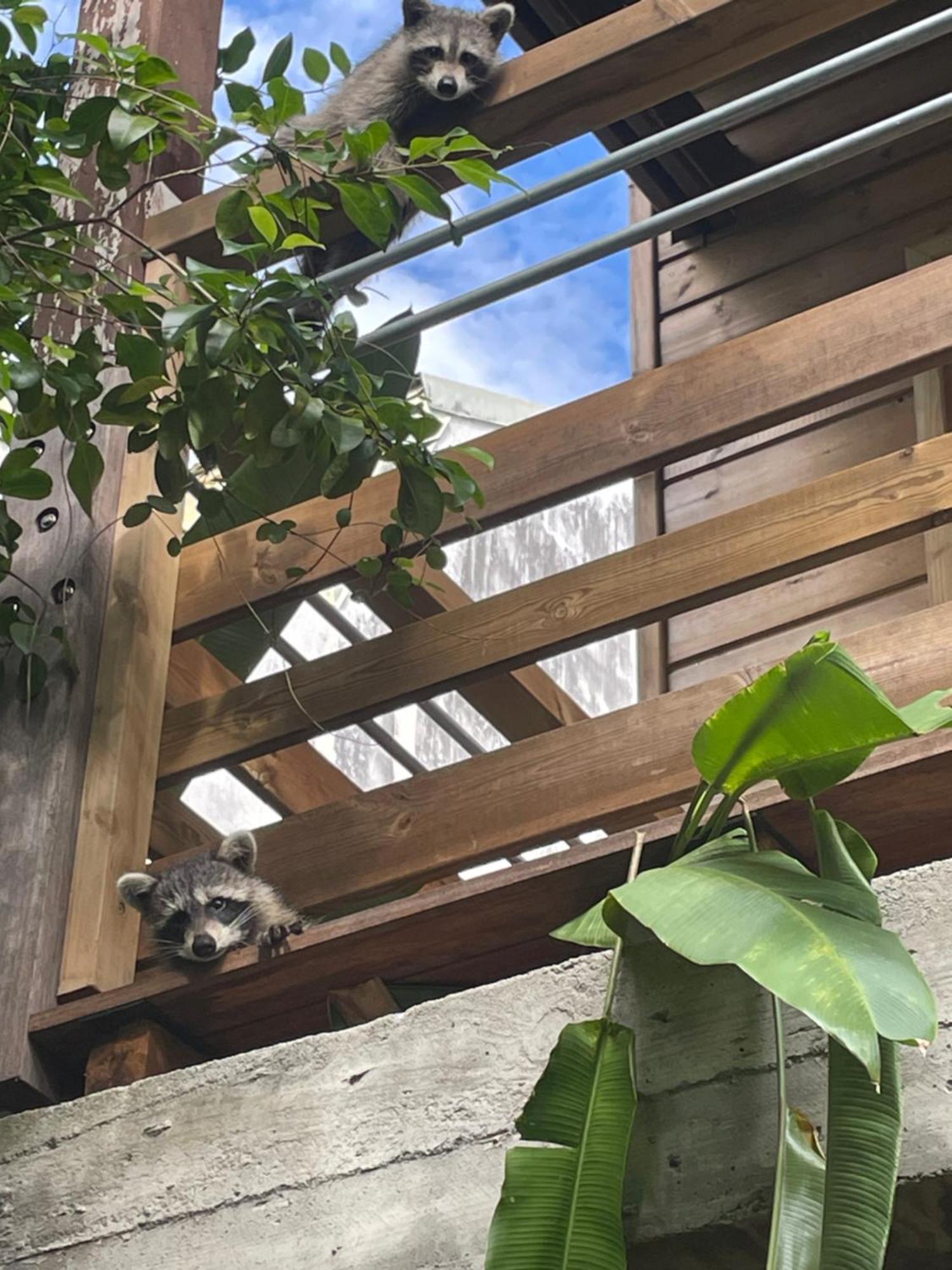 Bungalow Nature Gosier Centre Ле Госие Екстериор снимка
